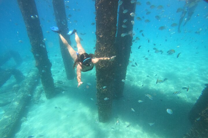 Aventura de mergulho com snorkel em recifes de coral com fotos e vídeos