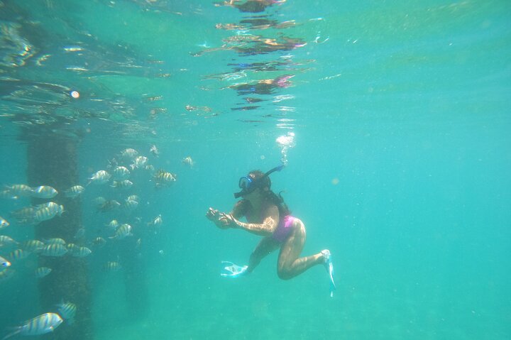 Aventura de mergulho com snorkel em recifes de coral com fotos e vídeos