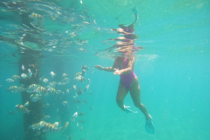 Aventura de mergulho com snorkel em recifes de coral com fotos e vídeos