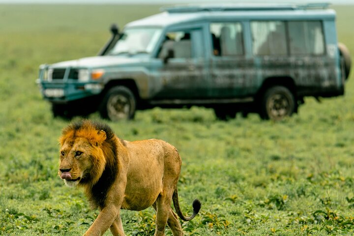 Balão Safari & Bush Café da manhã em Tarangire - experiência milagrosa