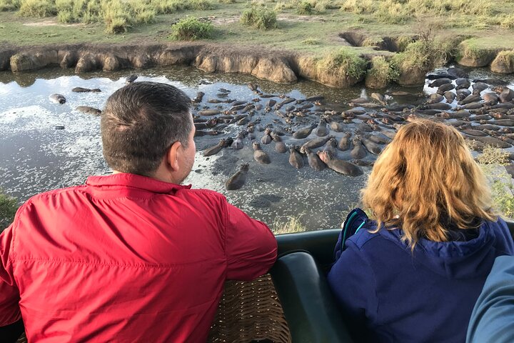 Balão Safari & Bush Café da manhã em Tarangire - experiência milagrosa