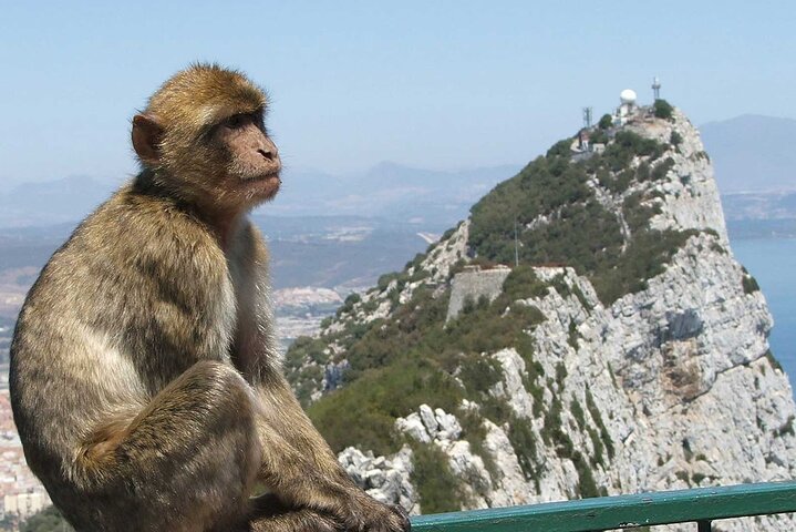 Gibraltar med St Michael Caves Guidad tur från Costa del Sol