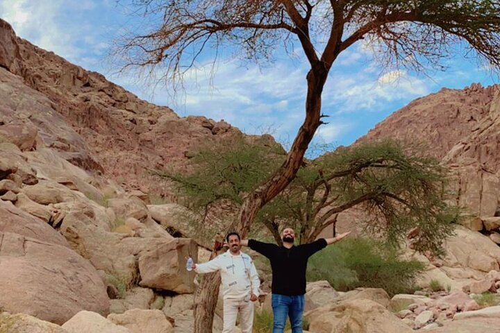 Luxury tours in Medina with a private tour guide