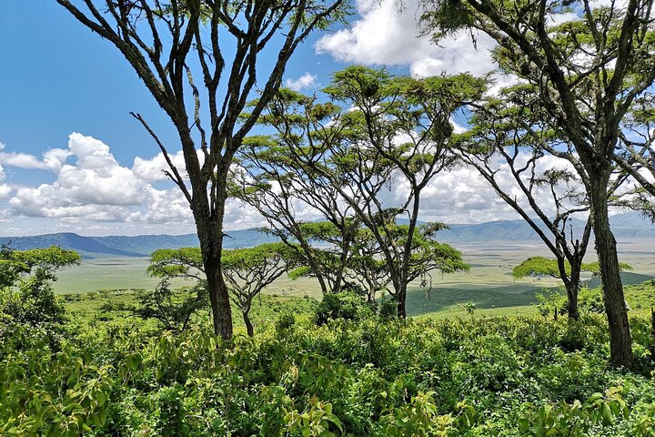 Da Arusha: 11 Giorni famoso Serengeti Inside out safari viaggio