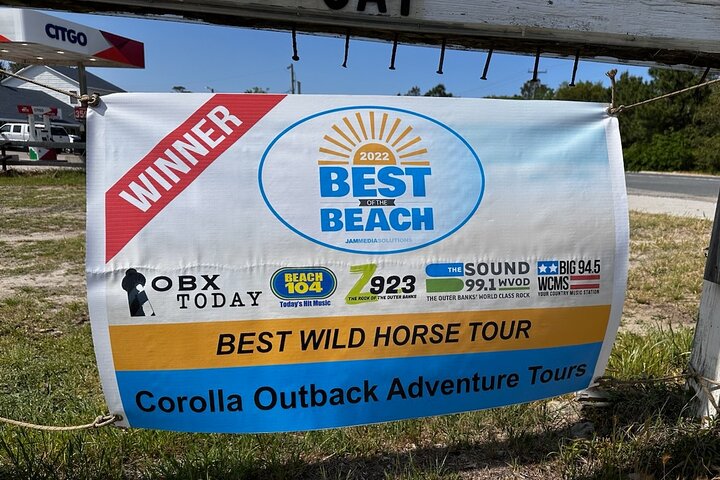 Tour de caballos salvajes de 2 horas en Outer Banks en camión 4WD