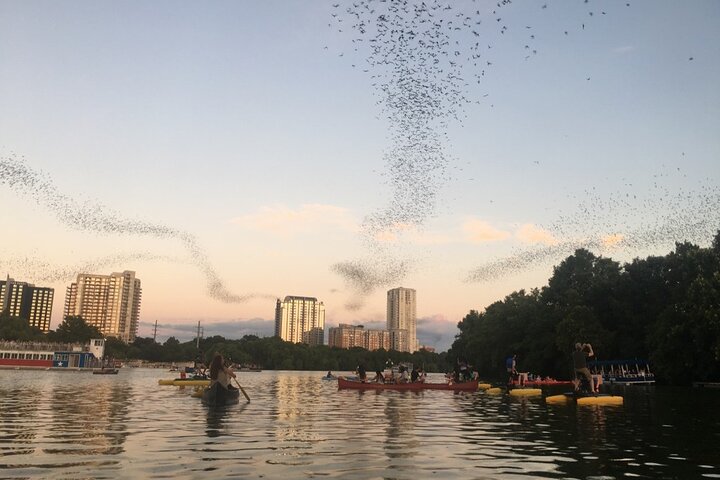 Downtown Austin Sunset Kayak Tour met 1,5 miljoen vleermuizen