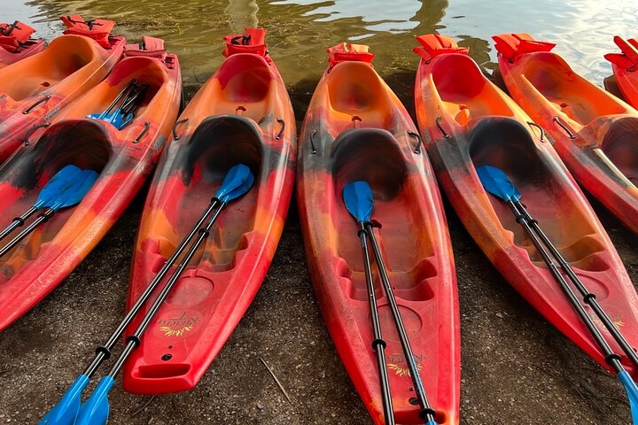 Downtown Austin Sunset Kayak Tour met 1,5 miljoen vleermuizen