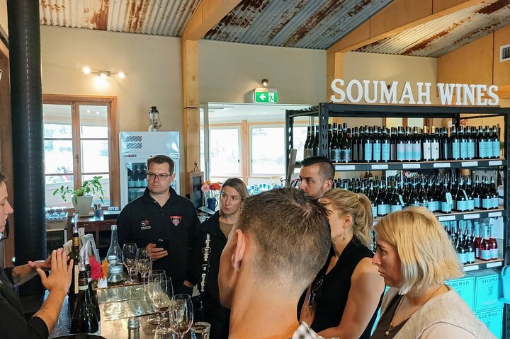 Melbourne: Tour del vino, del gin, del whisky e del cioccolato della valle di Yarra