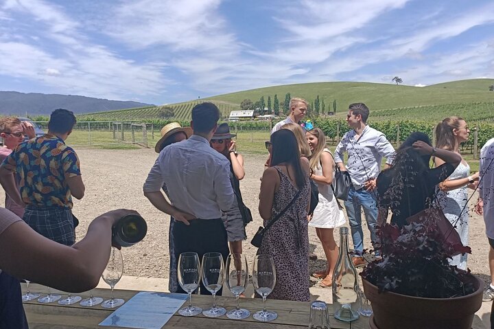 Melbourne: Tour del vino, del gin, del whisky e del cioccolato della valle di Yarra