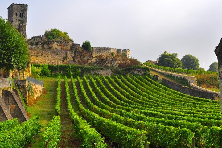 Saint-Émilion Wine Tour por bicicleta elétrica premium, almoço incluído