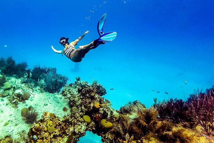 One Love Vibes Tour : Discover the 7 Colors of the San Andreas Sea