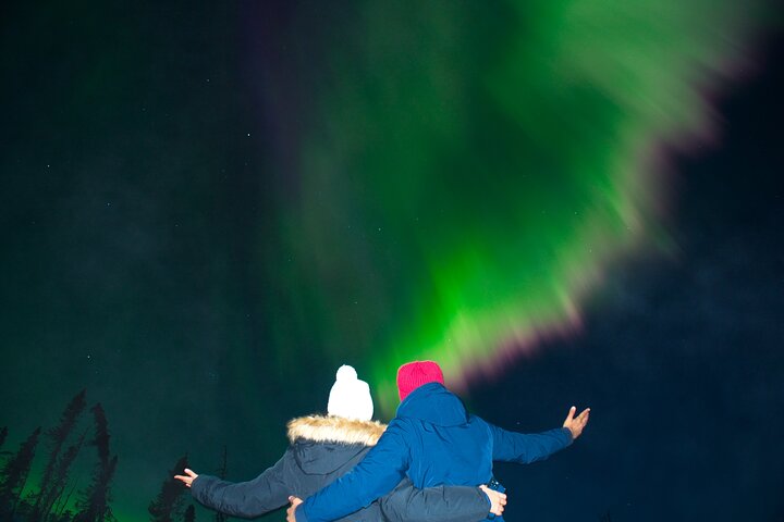 Aurore boréale - Aurore avec photos GRATUITES - Arctic Night Tours