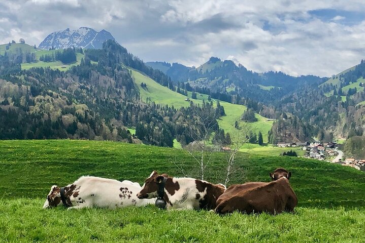 GRUYÈRE-OSTURAN & CHOKOLADETOUREN från Genève