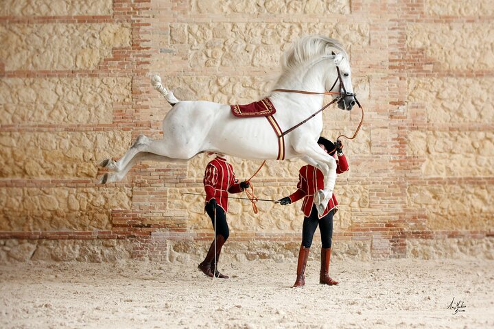 Ridsport Show Royal Stables of Córdoba