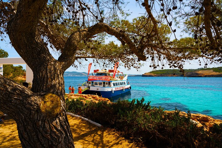 Ibiza strandhopcruise met paddleboards, drankjes en eten 6 uur