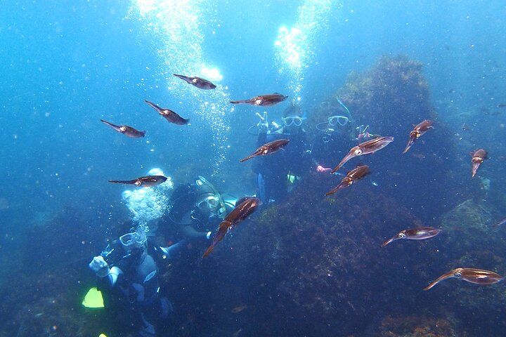 Genießen Sie Tauchen in Izu Entdecken Sie Tauchen für Nichttaucher