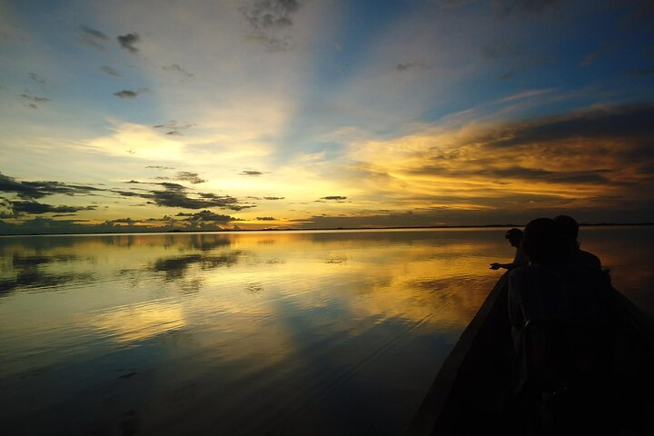 Tour de 4 días por Amazonía: Pampas de Madidi y Yacuma desde Rurrenabaque