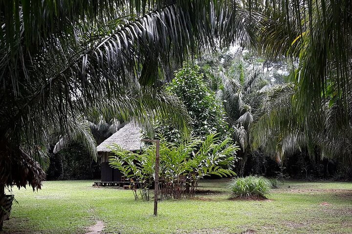Tour de 4 días por Amazonía: Pampas de Madidi y Yacuma desde Rurrenabaque