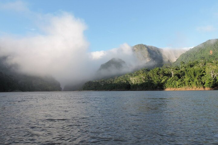 Tour de 4 días por Amazonía: Pampas de Madidi y Yacuma desde Rurrenabaque