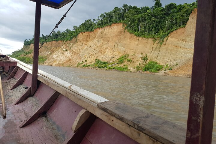 Tour de 4 días por Amazonía: Pampas de Madidi y Yacuma desde Rurrenabaque