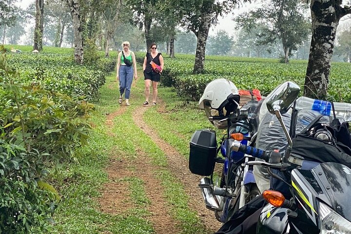 3 - Journée Dalat Motorbike Loop Tour | Les joyaux cachés des hauts plateaux