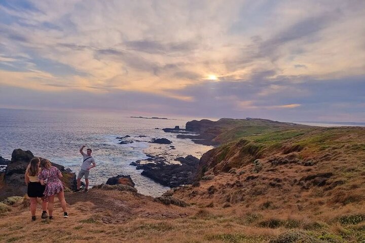 Phillip Island: Golden Hour Penguin Express Tour med Island Pickup