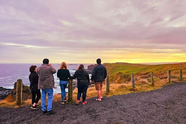 Phillip Island: Golden Hour Penguin Express Tour med Island Pickup