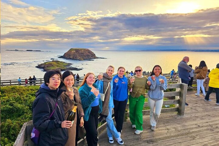 Phillip Island: Golden Hour Penguin Express Tour med Island Pickup