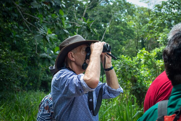 Aventura en la selva de 3 días desde / hacia Tena - Región amazónica de Napo