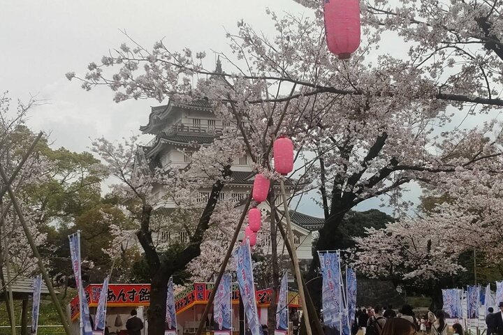 Japanse kookcursus en culturele ervaring in Tokio