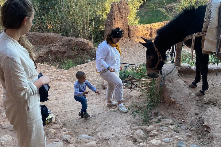 Königliche Privattour durch Ksar Ait Ben Haddou