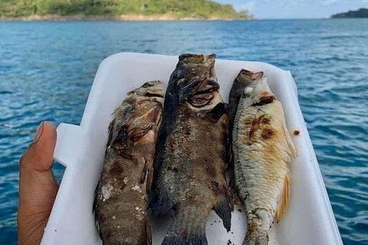 Koh Rong Fishing & Snorkeling tour (Private)