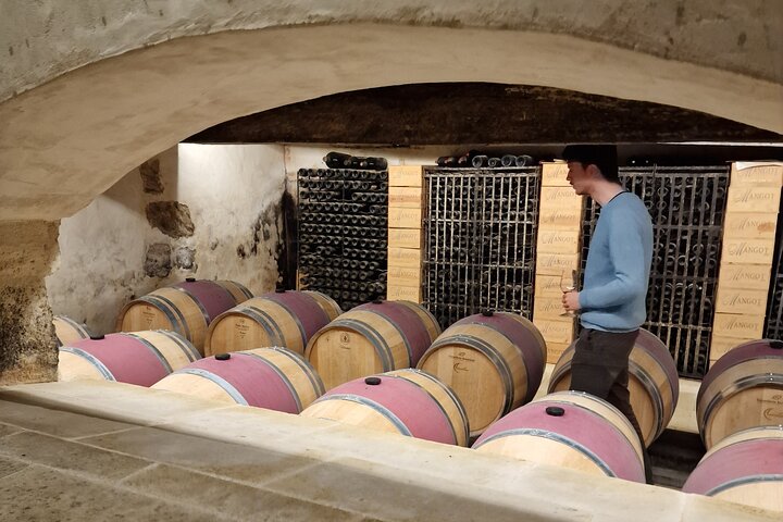 Saint-Émilion Wine Tour por bicicleta elétrica premium, almoço incluído