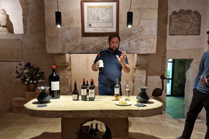 Saint-Émilion Wine Tour por bicicleta elétrica premium, almoço incluído