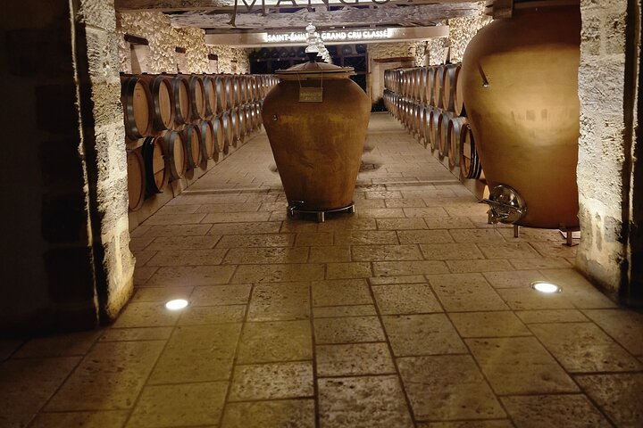 Saint-Émilion Wine Tour por bicicleta elétrica premium, almoço incluído