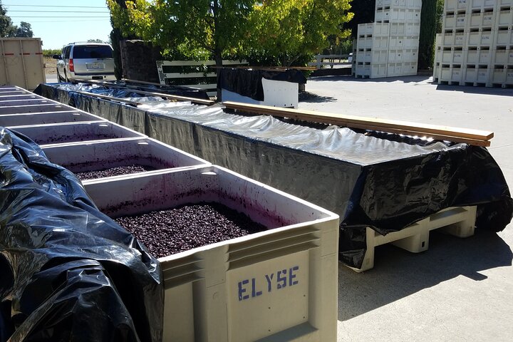 6 uur privé aangepaste wijntour voor maximaal 7 gasten Napa & Sonoma