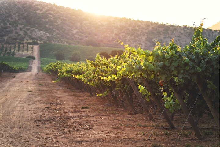 Hotéis perto de Private San Antonio Port and Chocalan Winery with Transfer Hotel