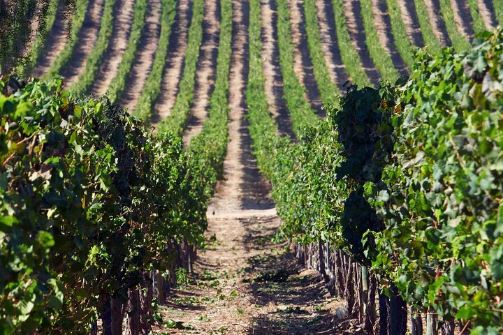 Hotéis perto de Private San Antonio Port and Chocalan Winery with Transfer Hotel