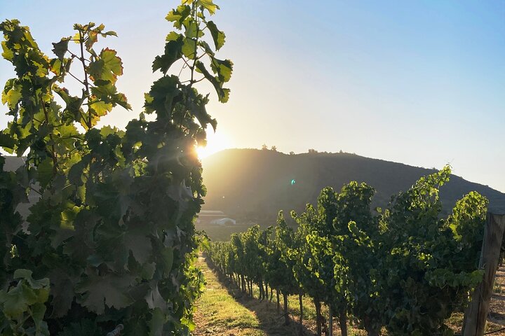 Hotéis perto de Private San Antonio Port and Chocalan Winery with Transfer Hotel
