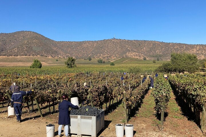 Hotéis perto de Private San Antonio Port and Chocalan Winery with Transfer Hotel