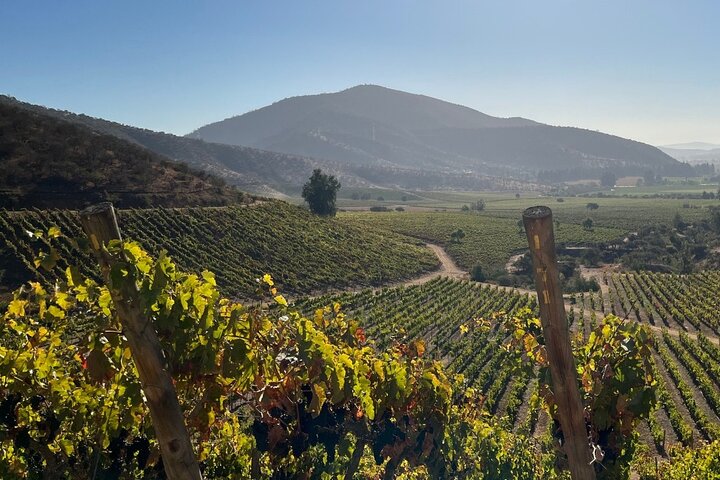 Hotéis perto de Private San Antonio Port and Chocalan Winery with Transfer Hotel