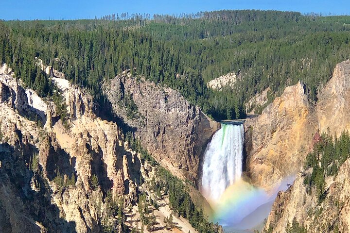Visite privée de Yellowstone : sites emblématiques, faune, randonnées familiales + déjeuner