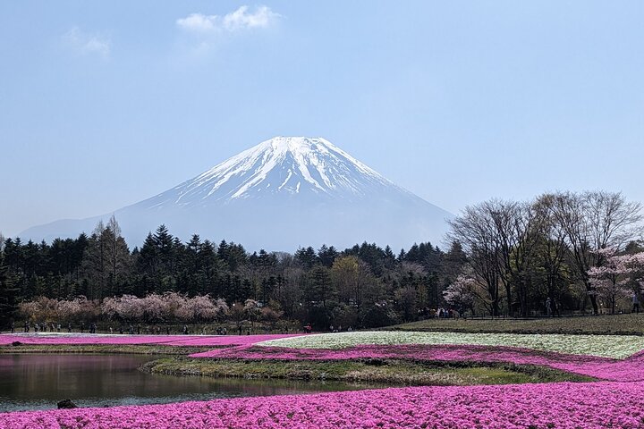Mt. Fuji Skjulte Perler & Gotemba Outlets med Lokal Vejleder & Chauffør