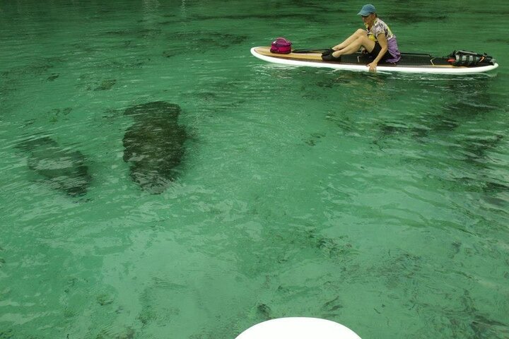 Silver Springs Clear Kayak Manatí, Mono y Vida Silvestre Aventuras
