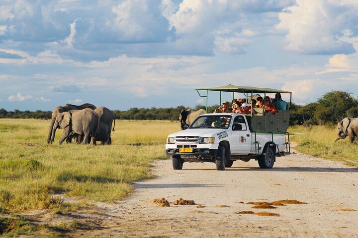 Safari no parque nacional de Etosha com guias profissionais nascidos em Etosha.