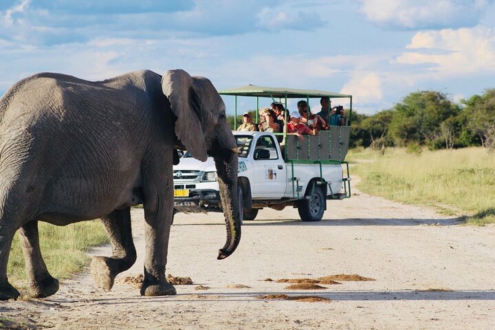 Safari no parque nacional de Etosha com guias profissionais nascidos em Etosha.