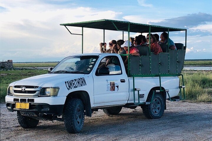 Safari no parque nacional de Etosha com guias profissionais nascidos em Etosha.