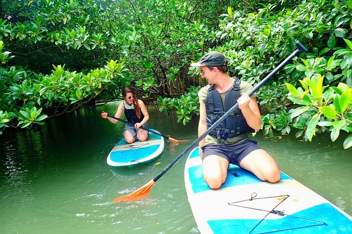 SUP ou canoë dans la mangrove d'Ishigaki + plongée avec tuba dans la Grotte Bleue