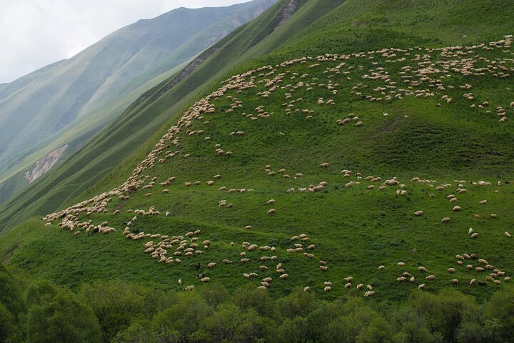 Kazbegi - Tour di trekking privato di un giorno nella valle di Truso