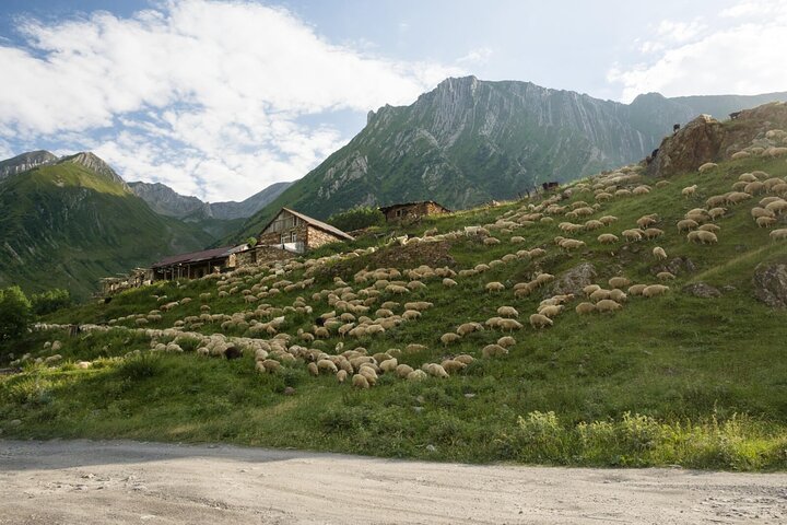 Kazbegi - Tour di trekking privato di un giorno nella valle di Truso